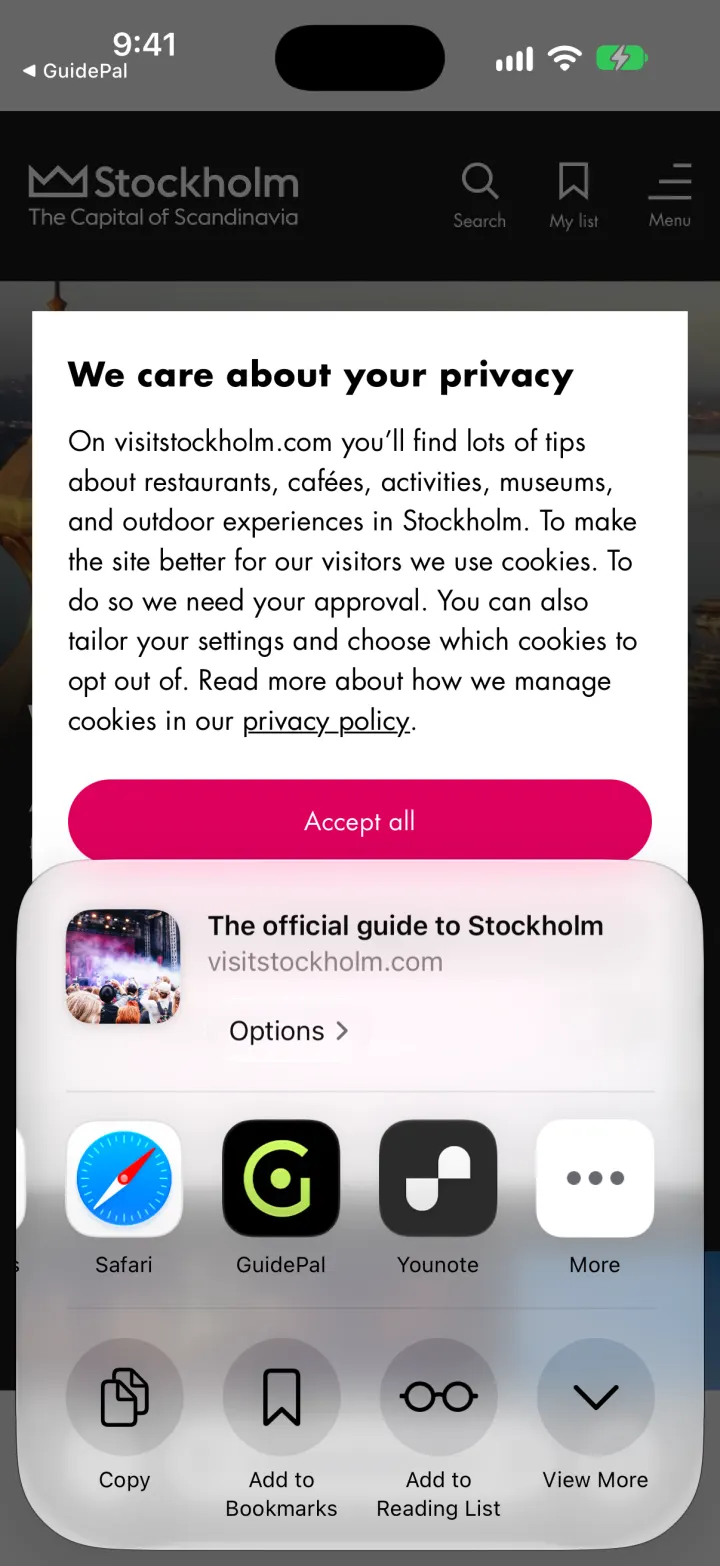 The iOS share sheet scrolled to the More button